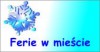 Aktywne ferie w mieście